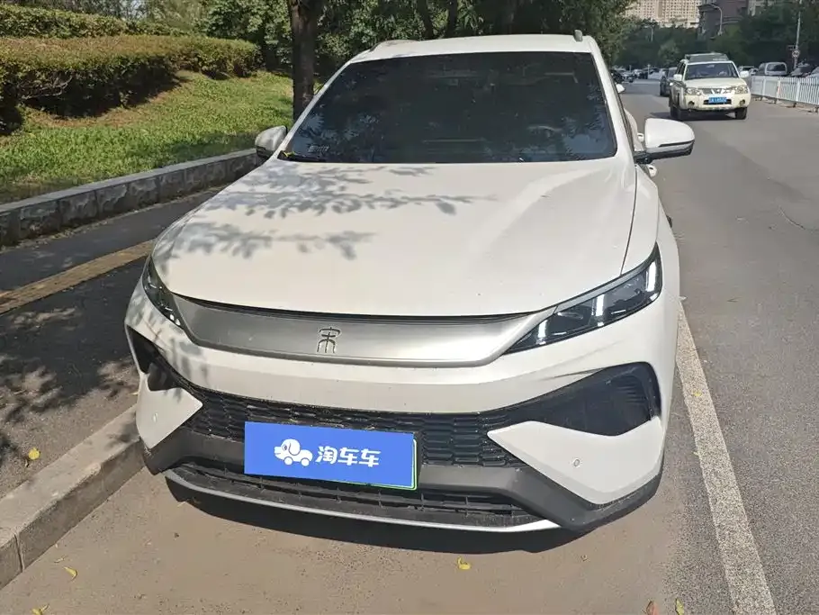 BYD Pro New Energy 2025 из CN, фото 2