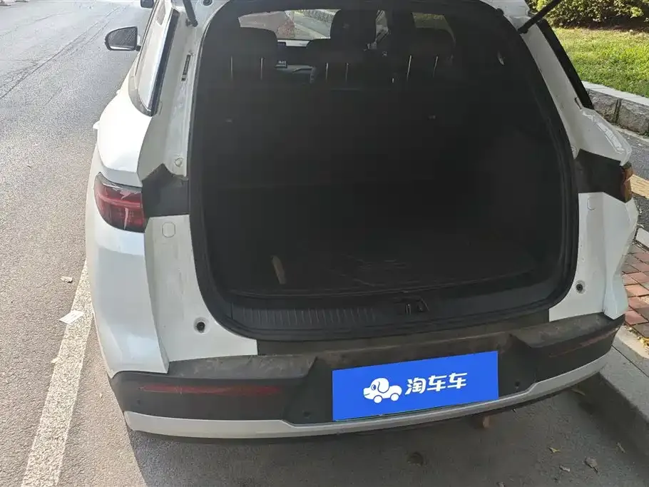 BYD Pro New Energy 2025 из CN, фото 4