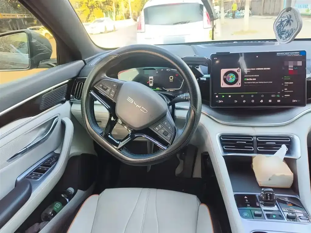 BYD PLUS New Energy 2024 из CN, фото 3