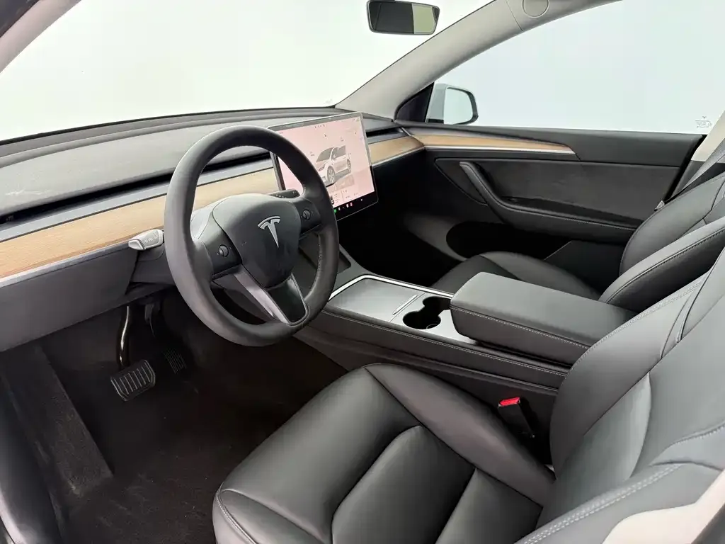 Tesla Model Y 2022 из CN, фото 6