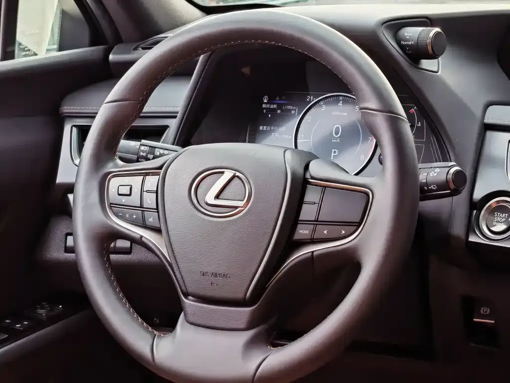 Lexus UX 2022 из CN, фото 10