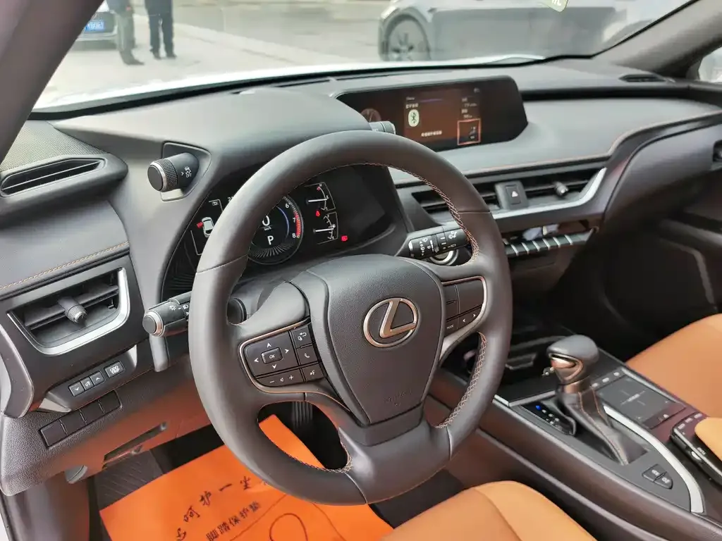 Lexus UX 2022 из CN, фото 5