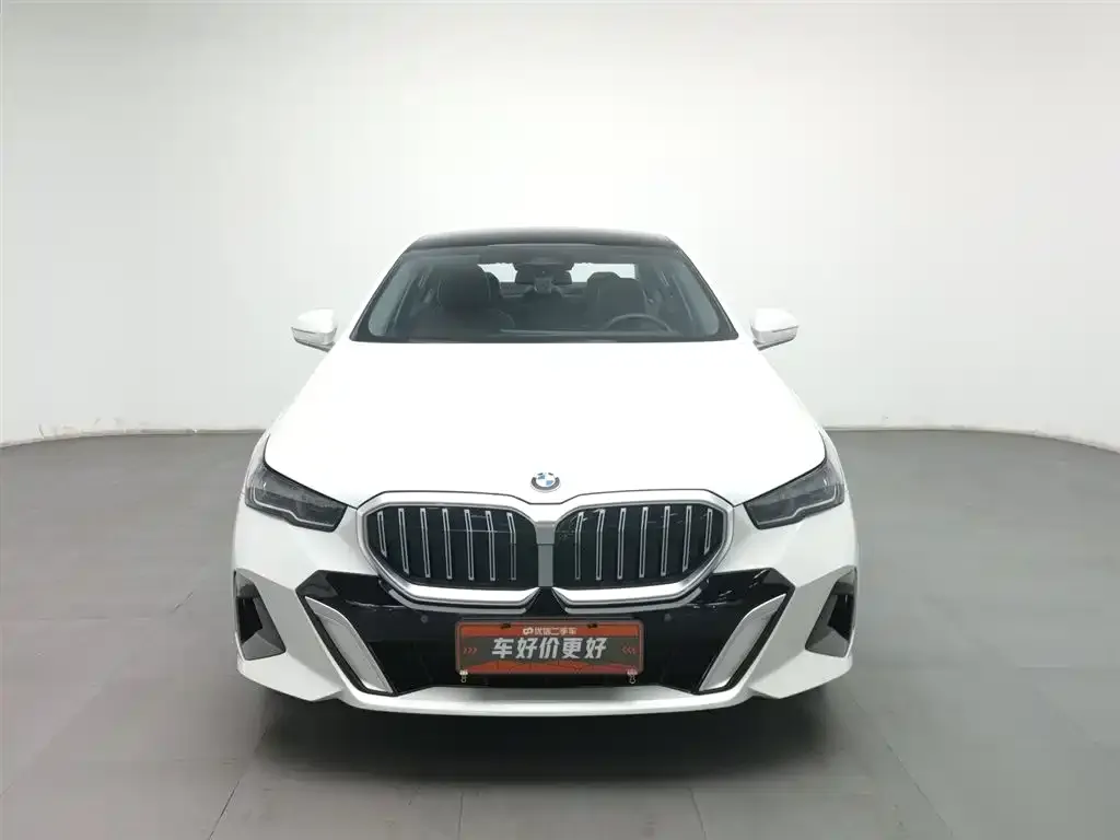 BMW 5 Series 2024 из CN, фото 3