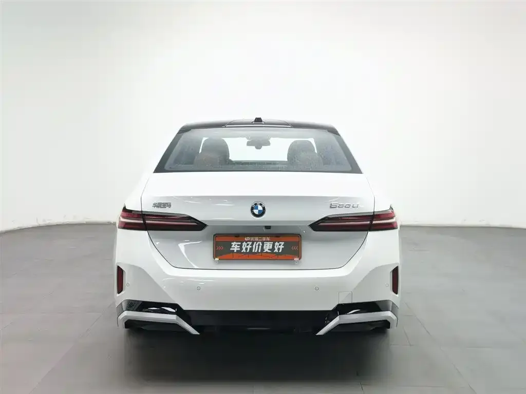 BMW 5 Series 2024 из CN, фото 4