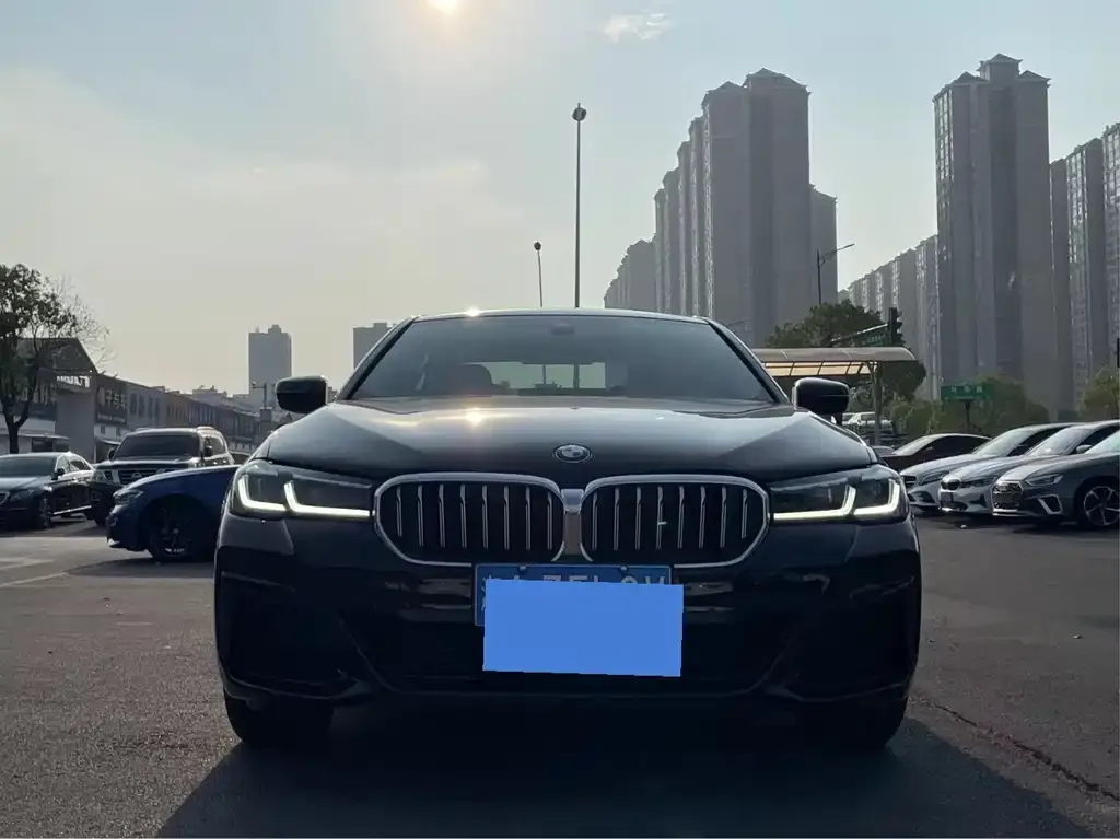 BMW 5 Series 2021 из CN, фото 1