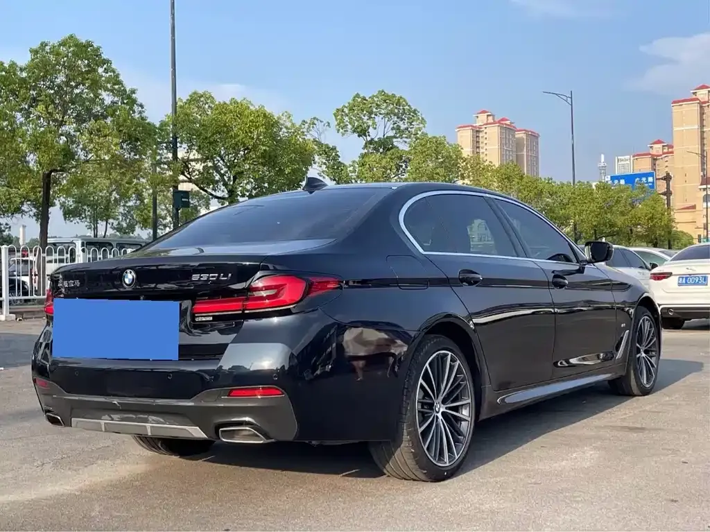 BMW 5 Series 2021 из CN, фото 7