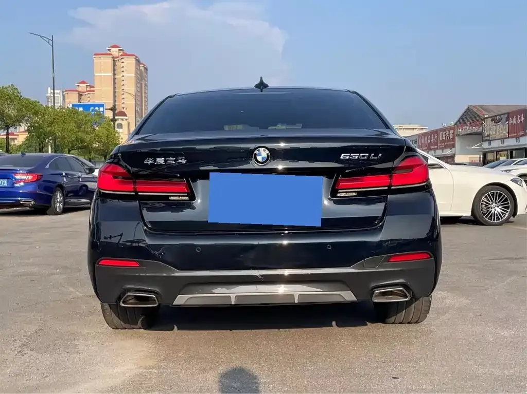 BMW 5 Series 2021 из CN, фото 8