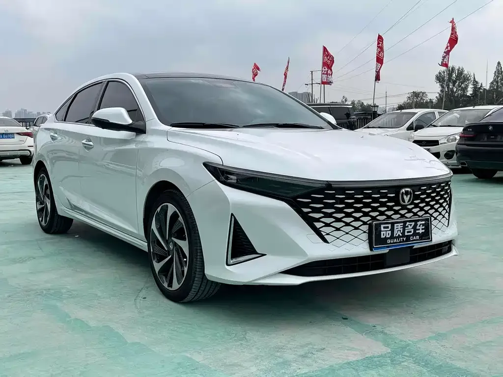 Changan Ruicheng PLUS 2024 из CN, фото 3
