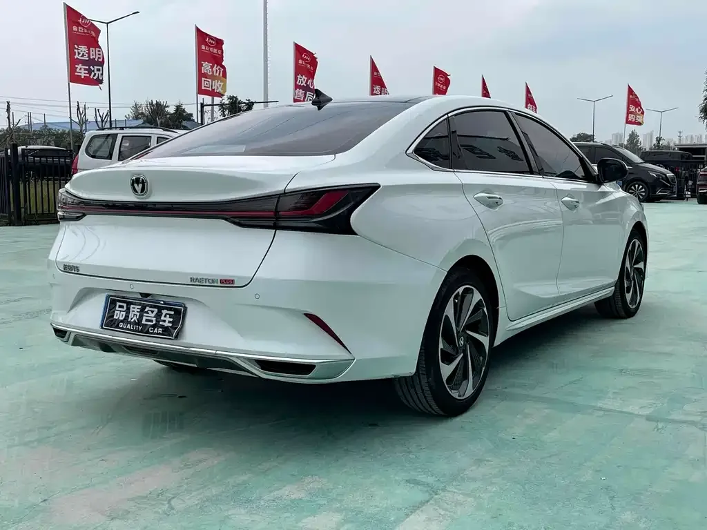 Changan Ruicheng PLUS 2024 из CN, фото 7