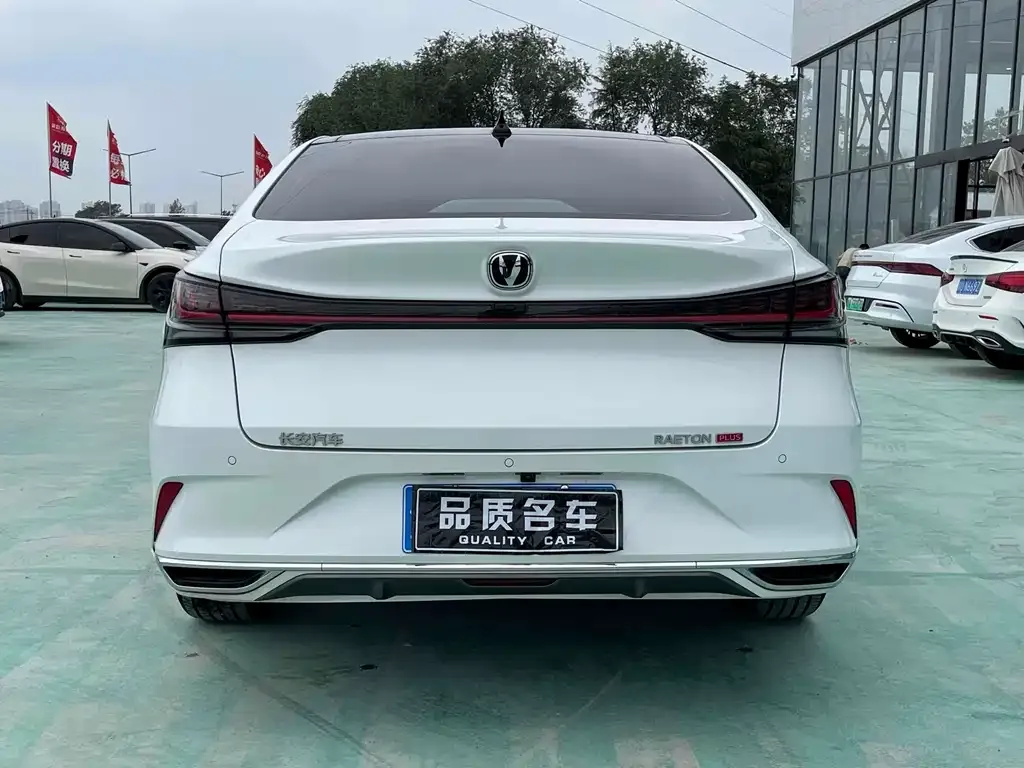 Changan Ruicheng PLUS 2024 из CN, фото 8