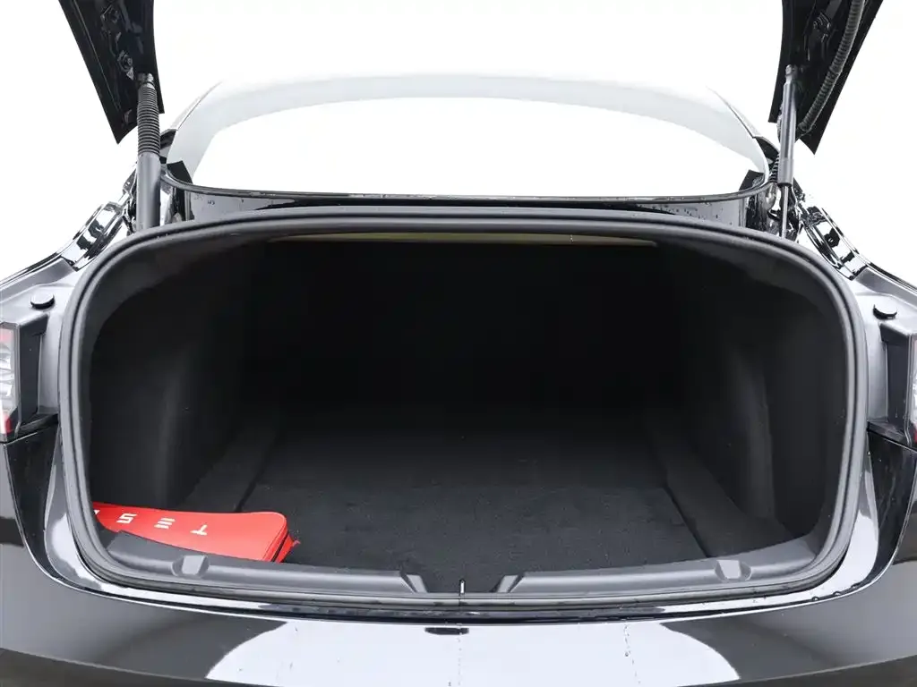 Tesla Model 3 2021 из CN, фото 6