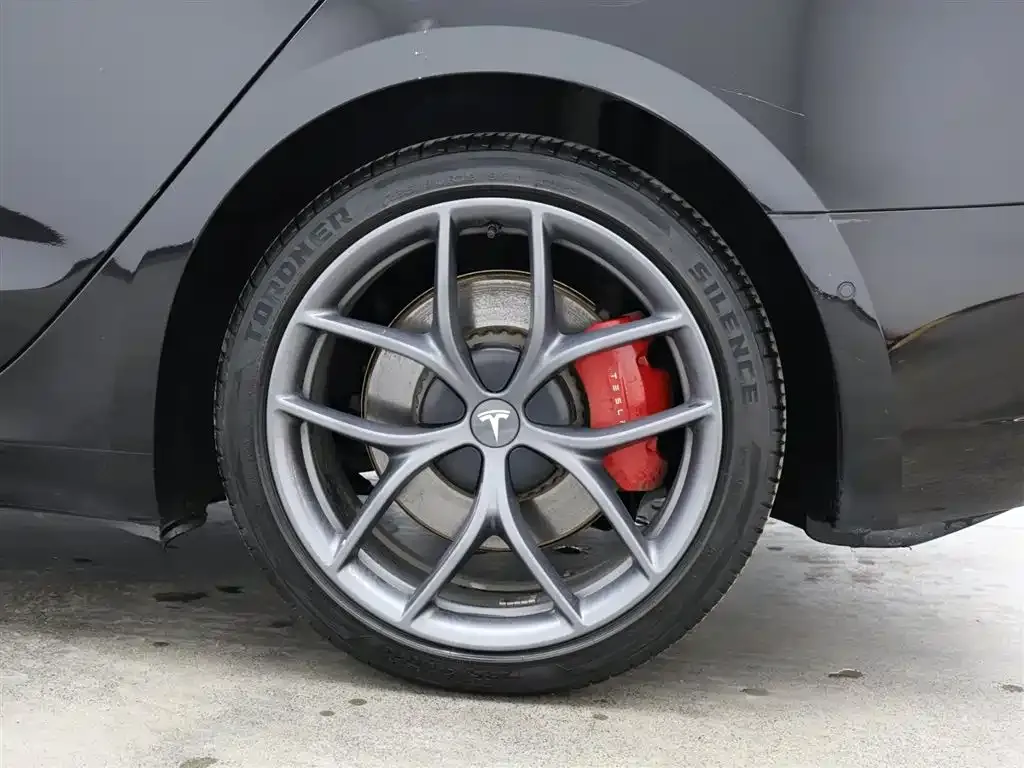 Tesla Model 3 2021 из CN, фото 7