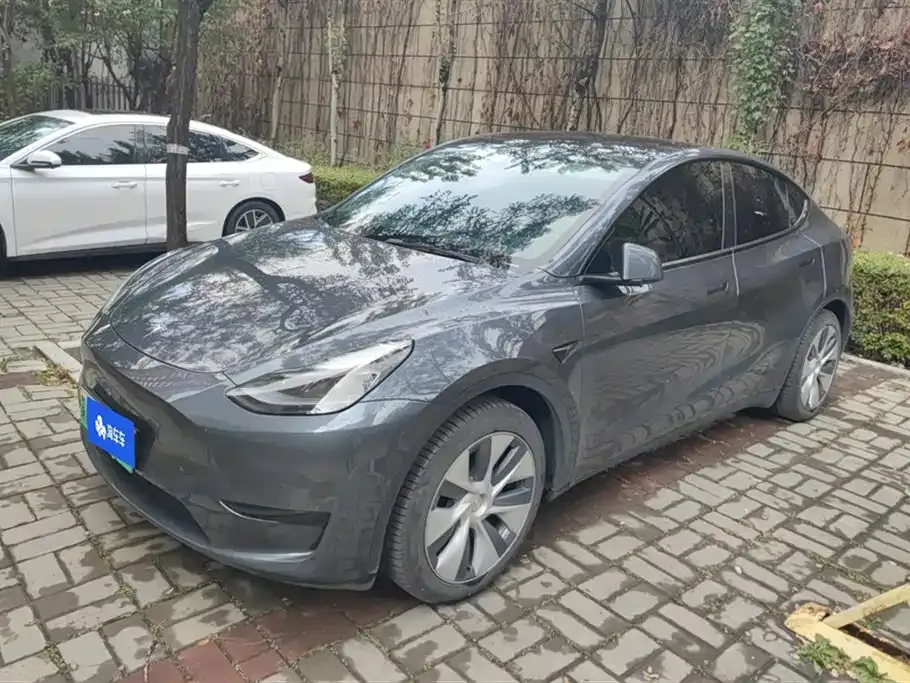 Tesla Model Y 2022 из CN, фото 1