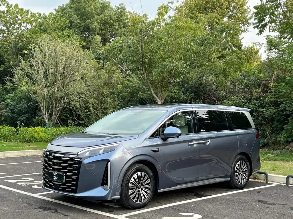 BYD Xia 2025 из CN, фото 1