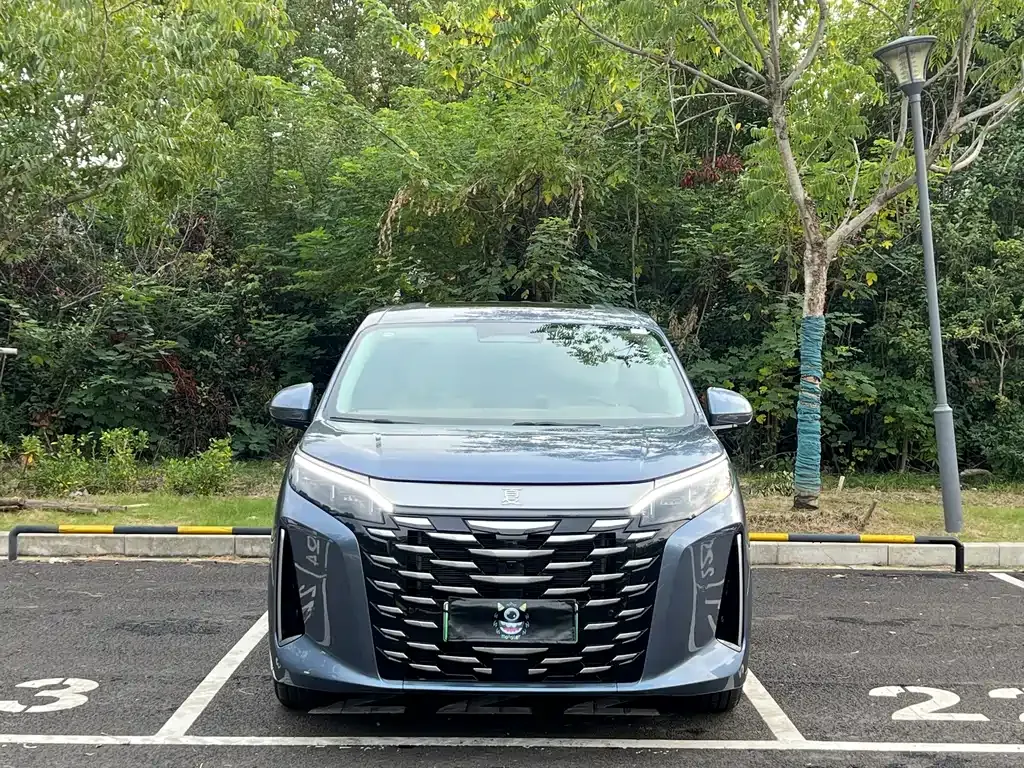 BYD Xia 2025 из CN, фото 2