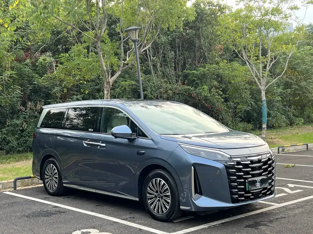 BYD Xia 2025 из CN, фото 3