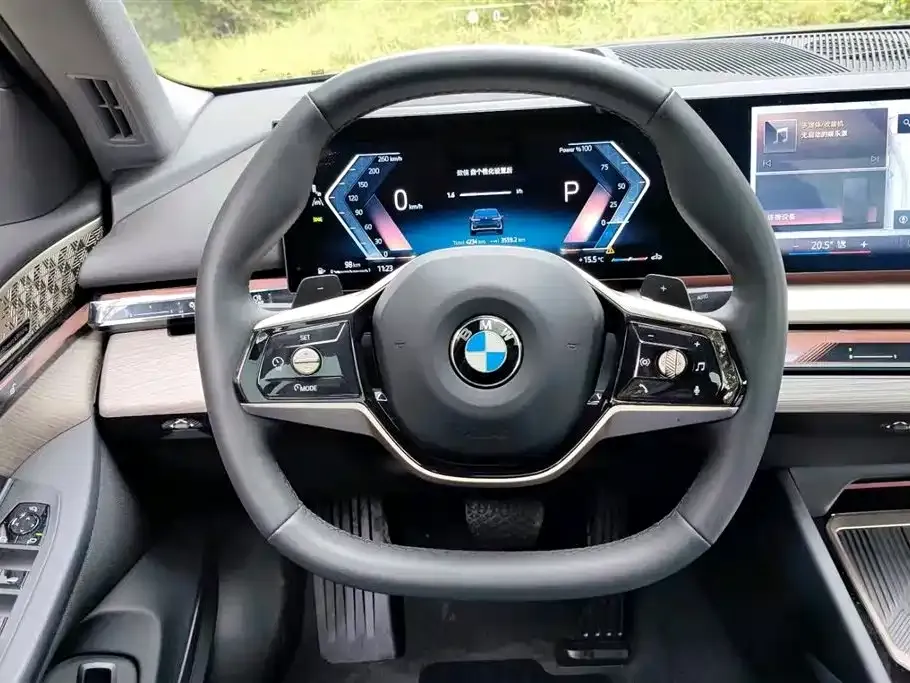 BMW 5 Series 2024 из CN, фото 6