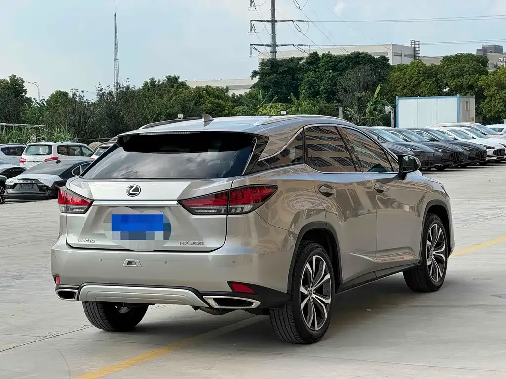 Lexus RX 2022 из CN, фото 8