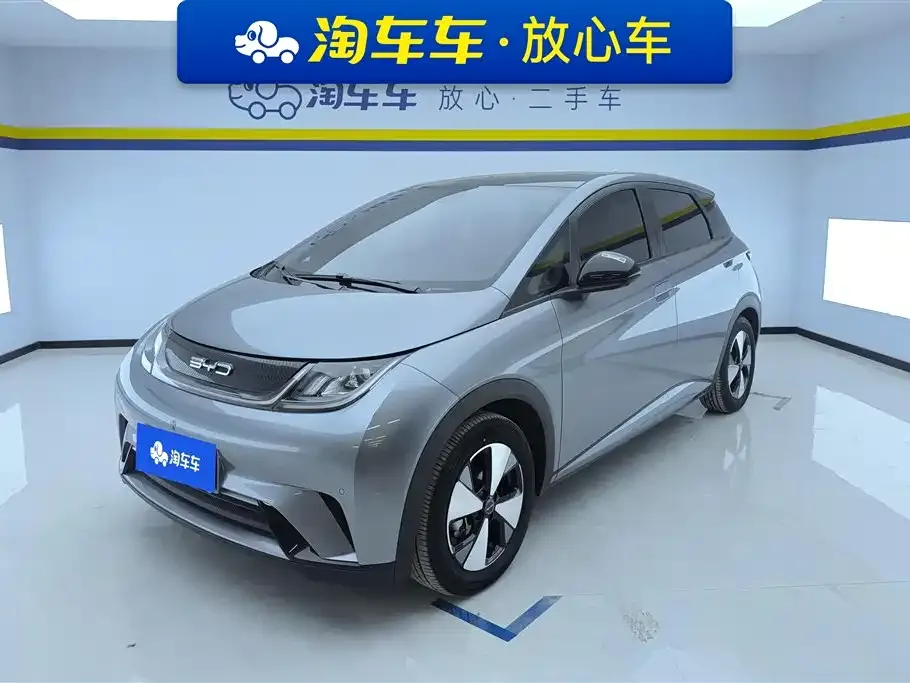 BYD Dolphin 2024 из CN, фото 1