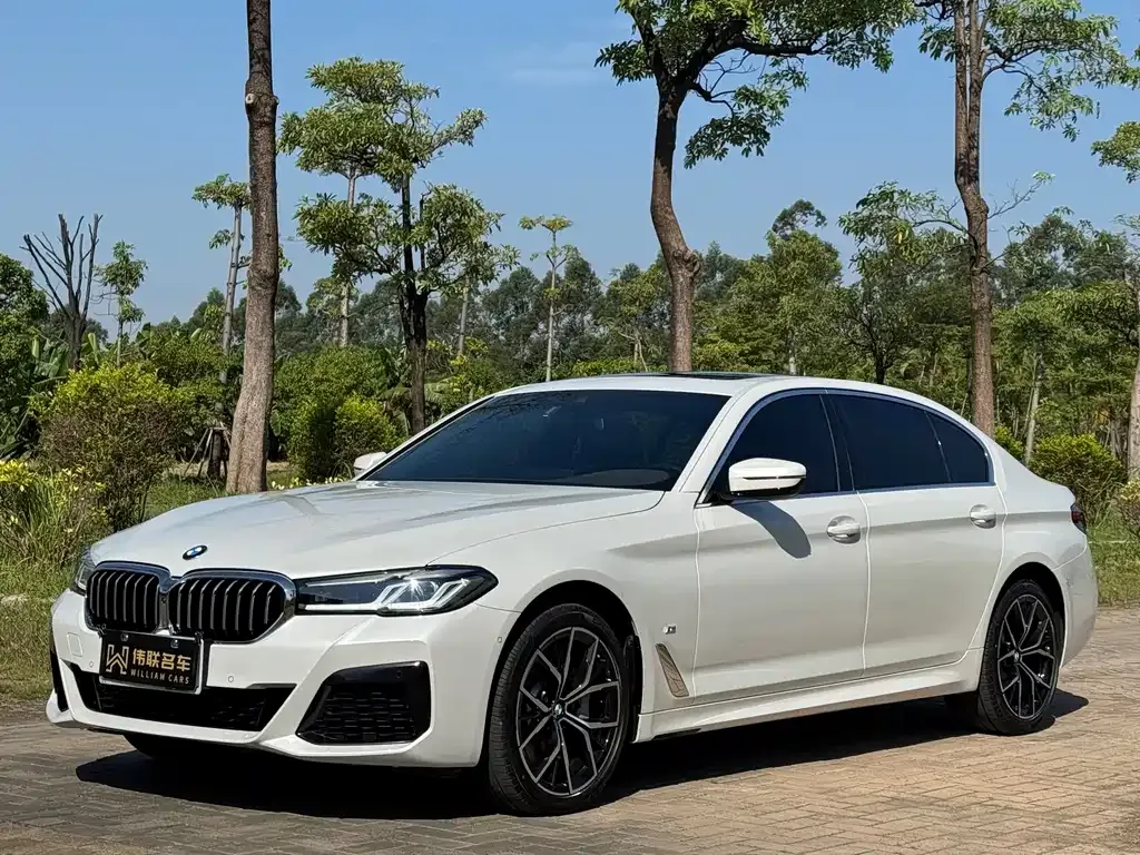 BMW 5 Series 2023 из CN, фото 1