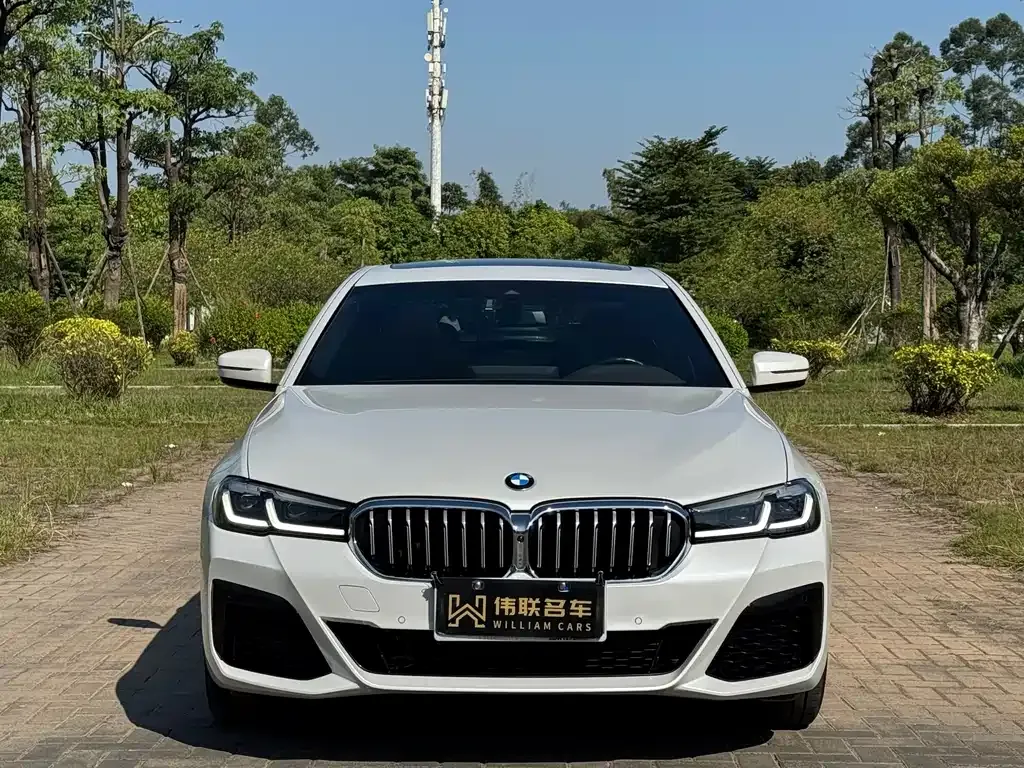 BMW 5 Series 2023 из CN, фото 2