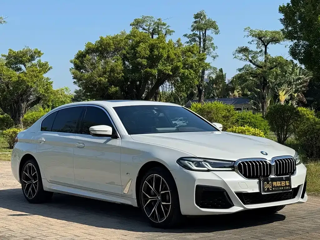 BMW 5 Series 2023 из CN, фото 3