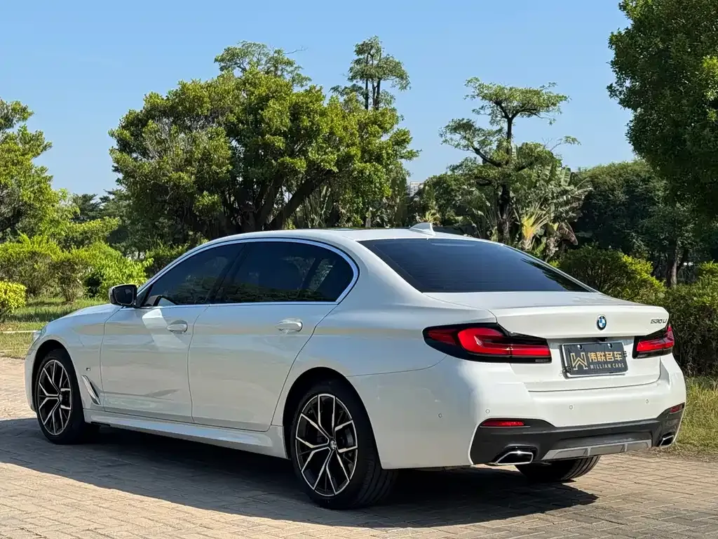 BMW 5 Series 2023 из CN, фото 6