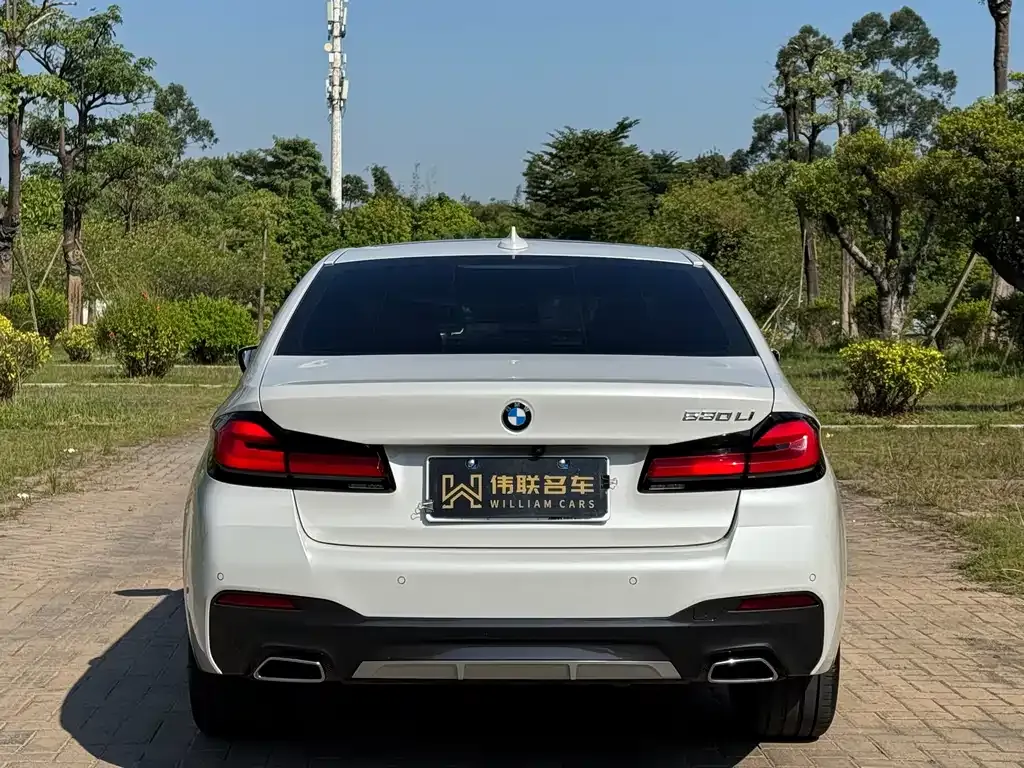BMW 5 Series 2023 из CN, фото 7