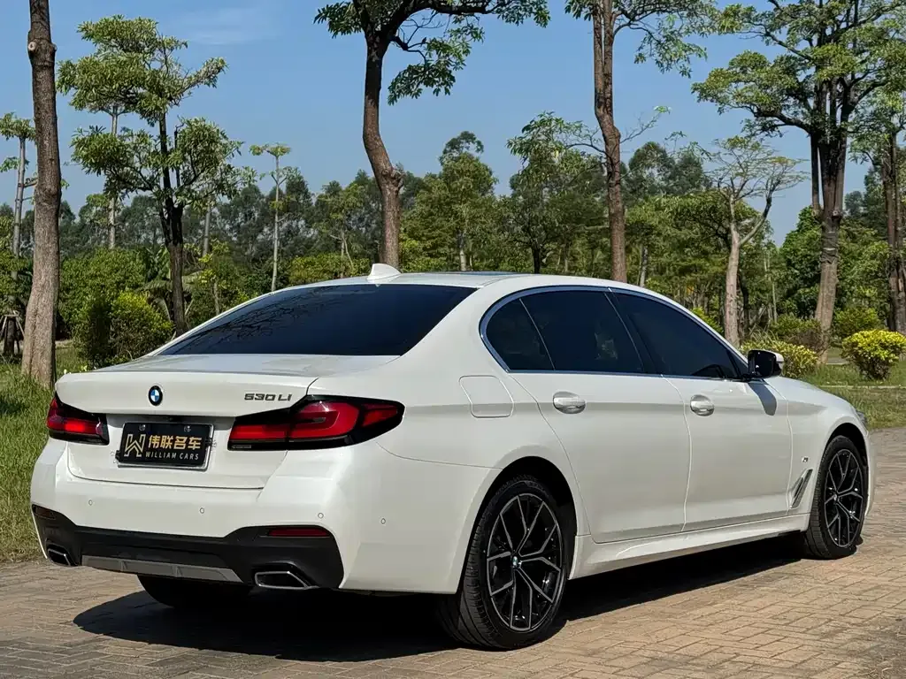 BMW 5 Series 2023 из CN, фото 8