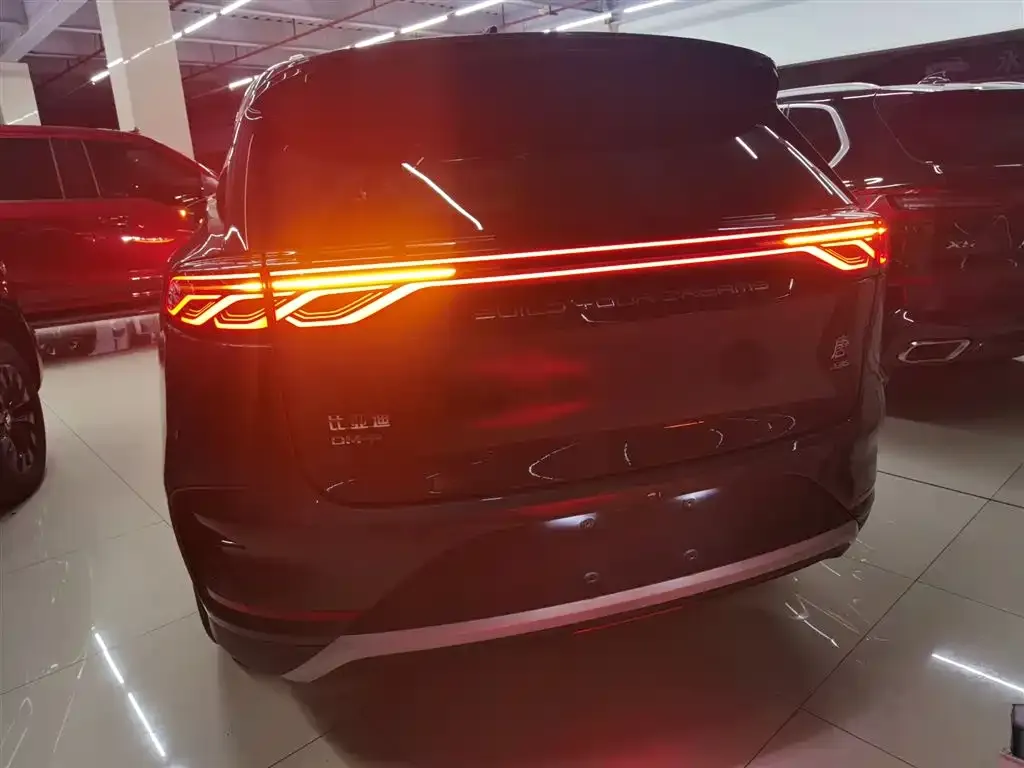 BYD Tang New Energy — фото 10