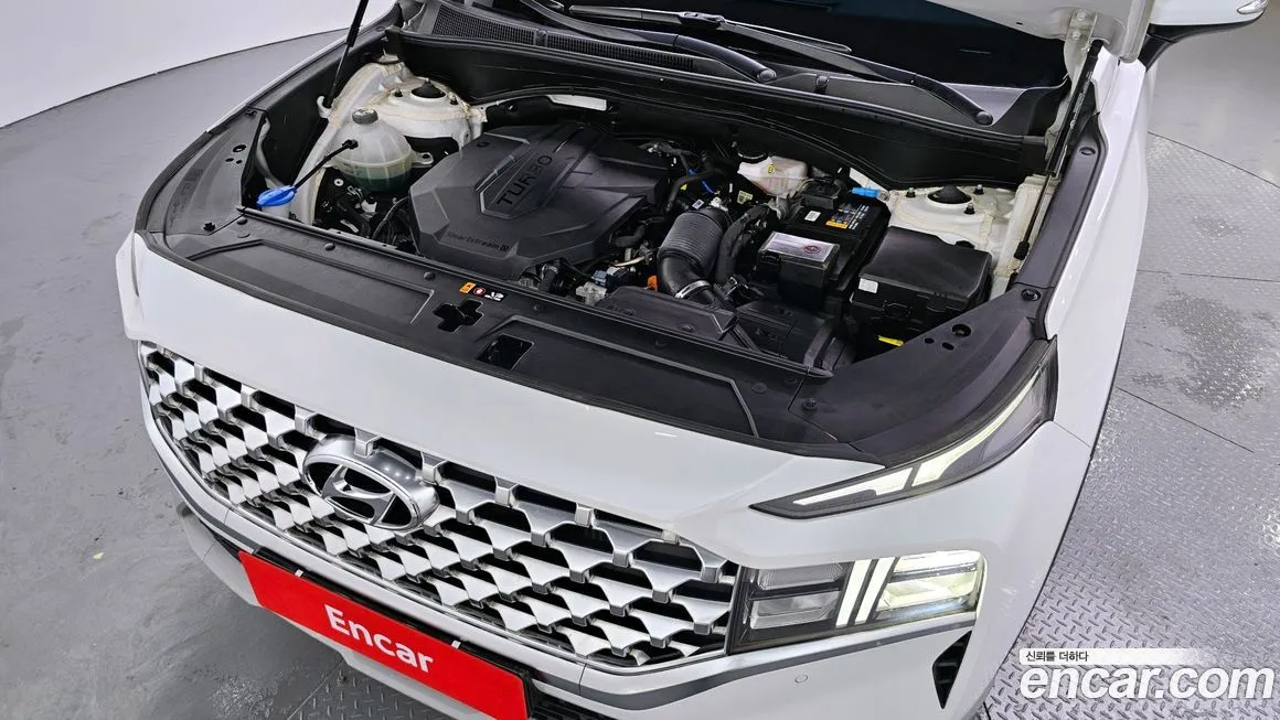 [object Object] Santafe 2021 из KR, фото 6