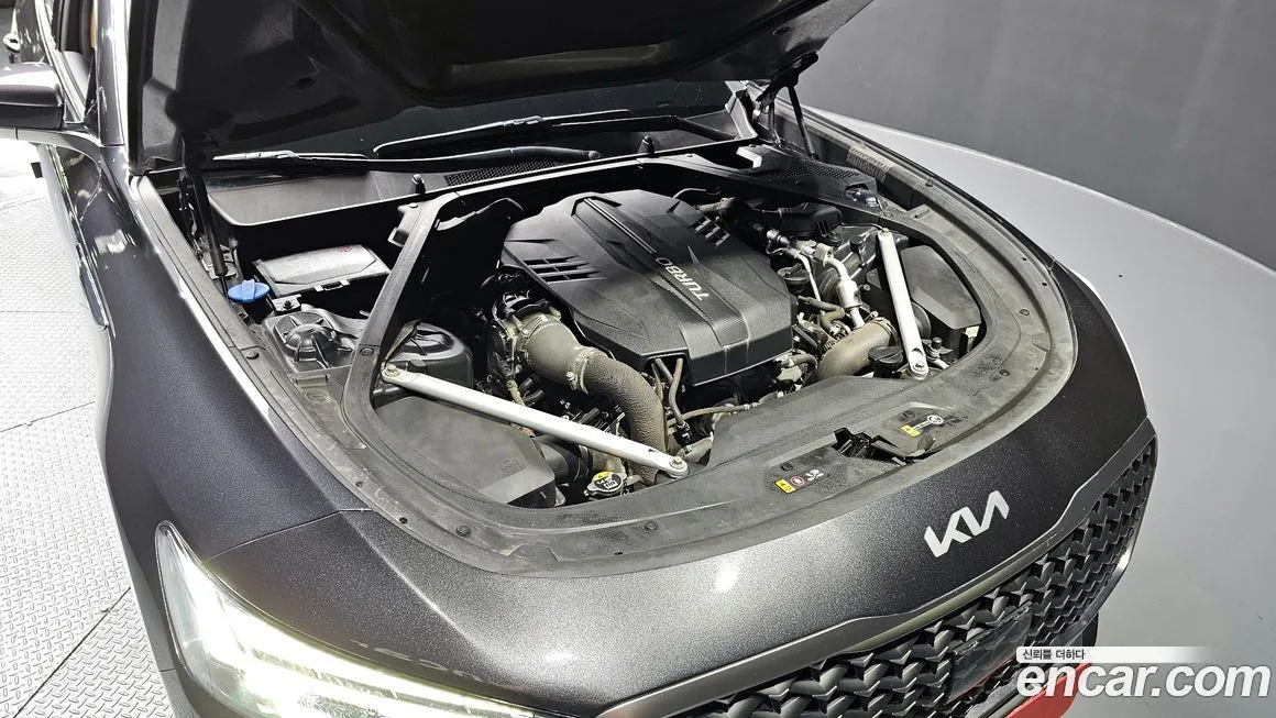 [object Object] K9 2022 из KR, фото 6