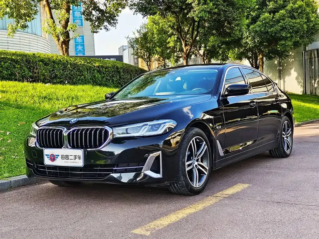 BMW 5 Series New Energy 2022 из CN, фото 1
