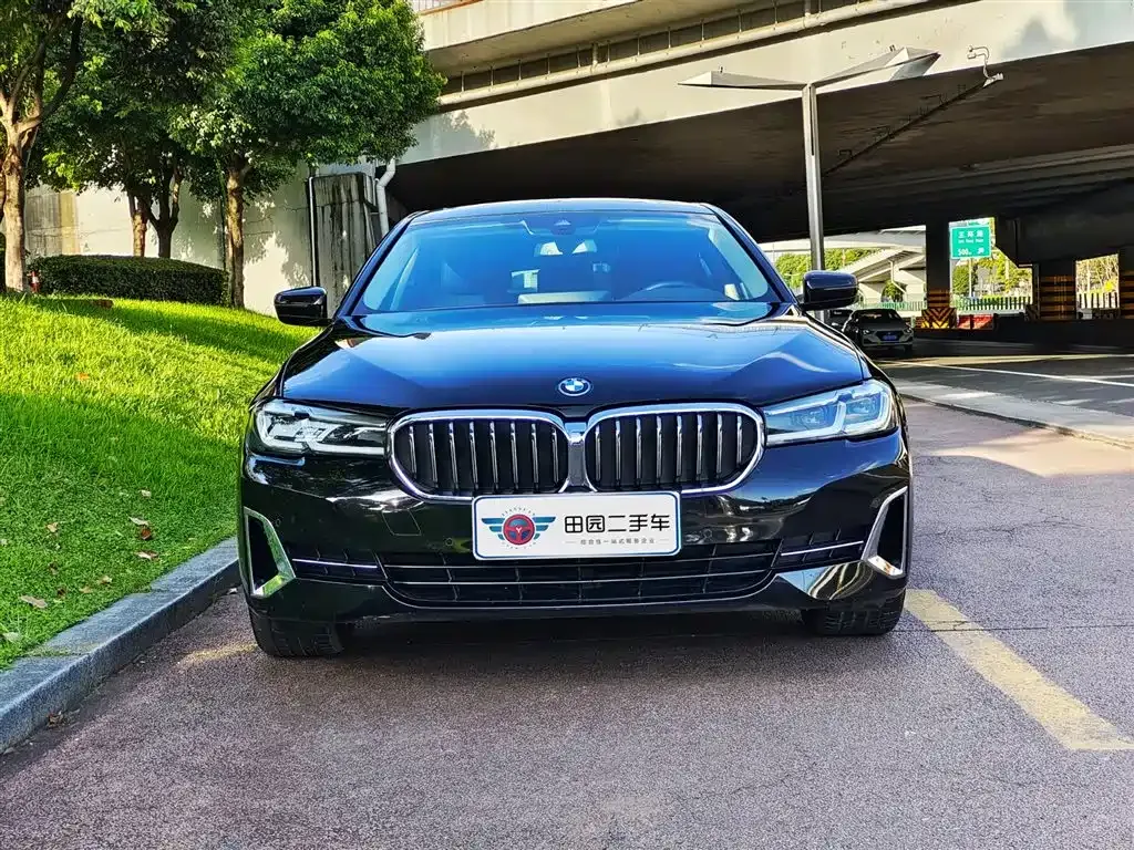 BMW 5 Series New Energy 2022 из CN, фото 2