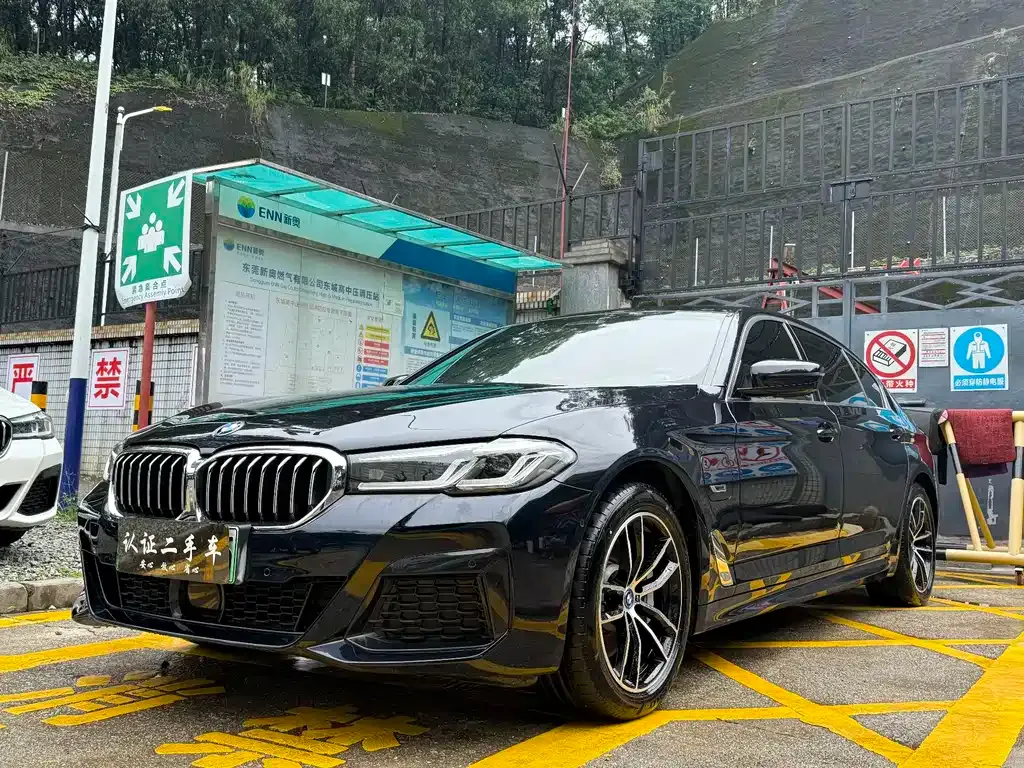 BMW 5 Series New Energy 2023 из CN, фото 1