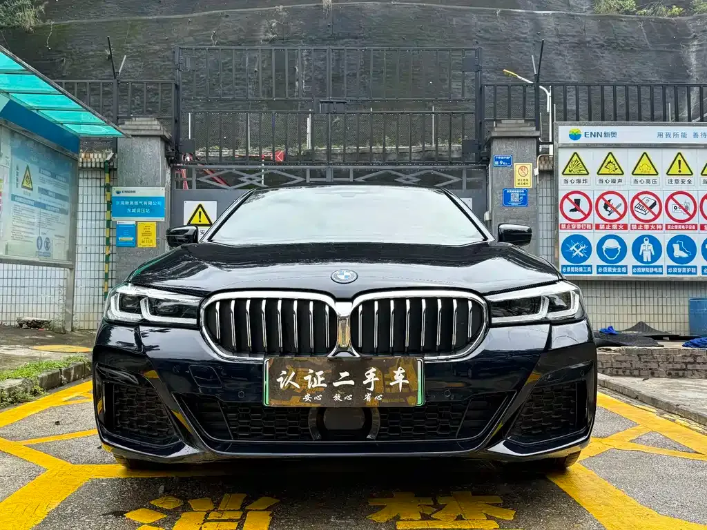 BMW 5 Series New Energy 2023 из CN, фото 2
