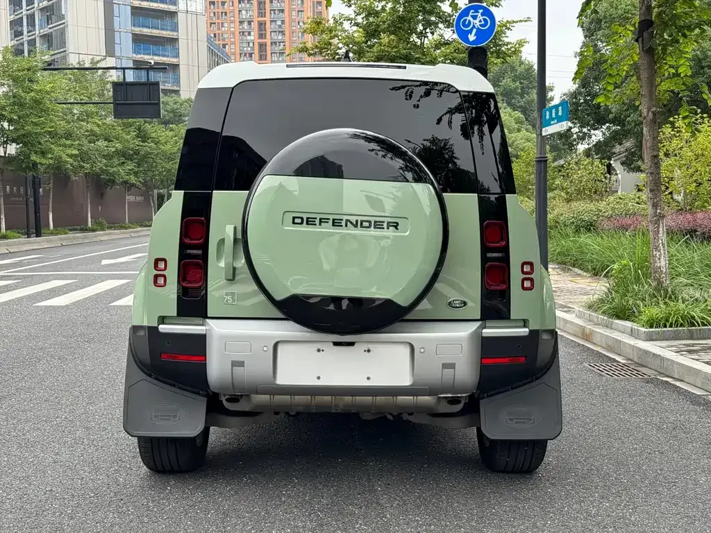 Land Rover Defender 2023 из CN, фото 9
