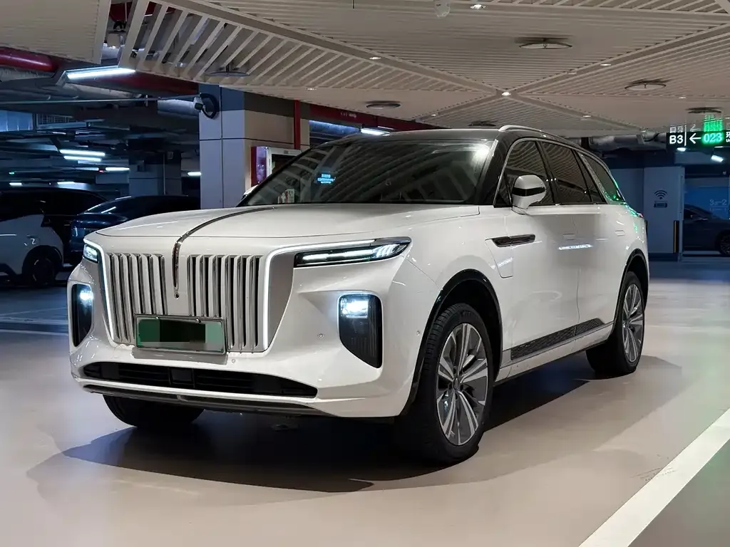 Hongqi E-HS9 2021 из CN, фото 1
