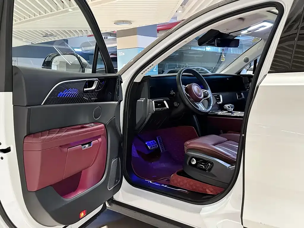 Hongqi E-HS9 2021 из CN, фото 10