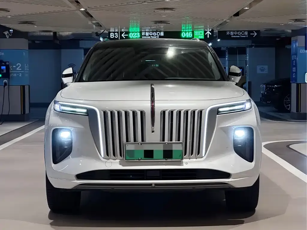 Hongqi E-HS9 2021 из CN, фото 2