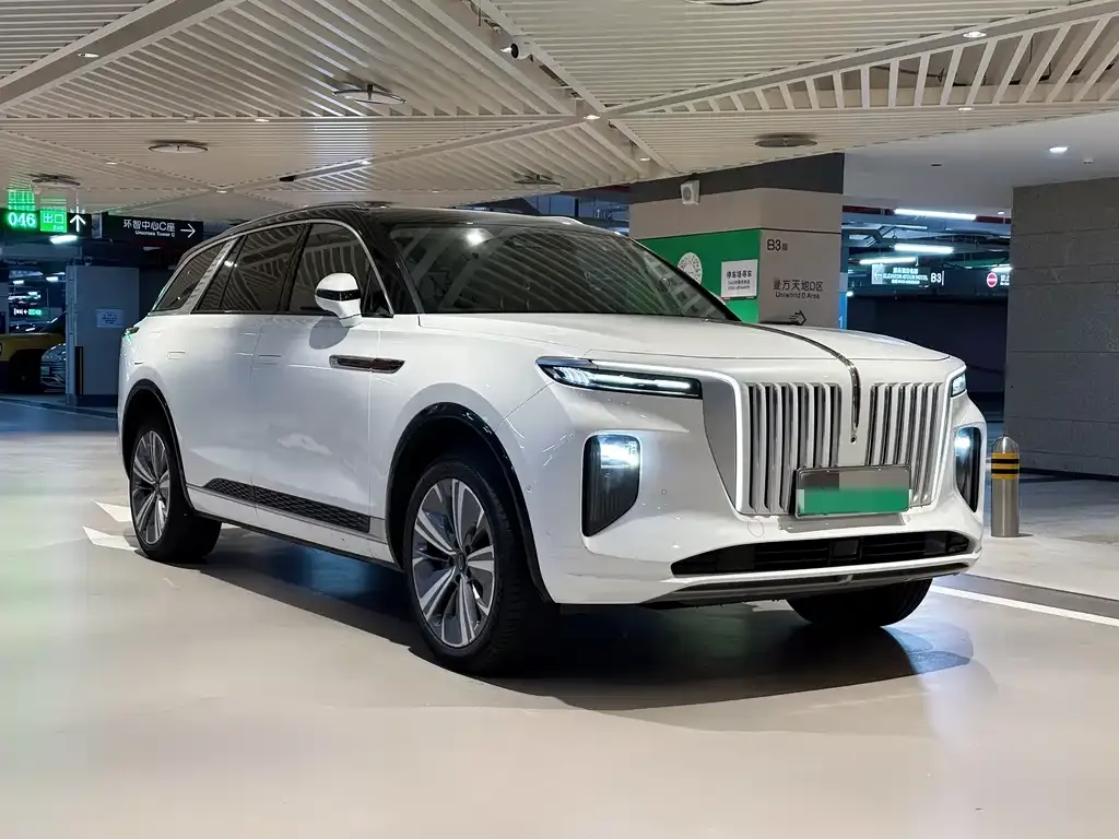 Hongqi E-HS9 2021 из CN, фото 3