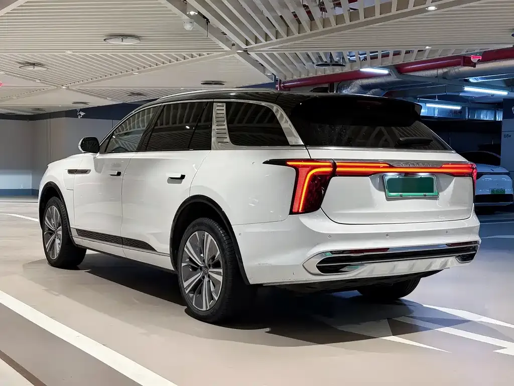 Hongqi E-HS9 2021 из CN, фото 4