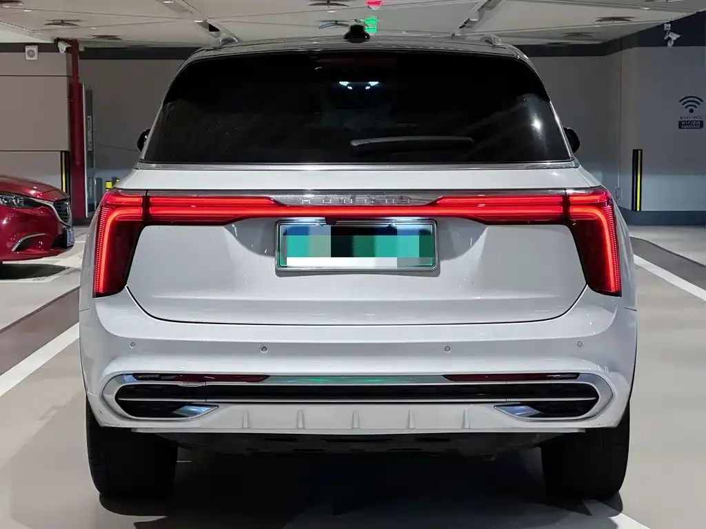 Hongqi E-HS9 2021 из CN, фото 5