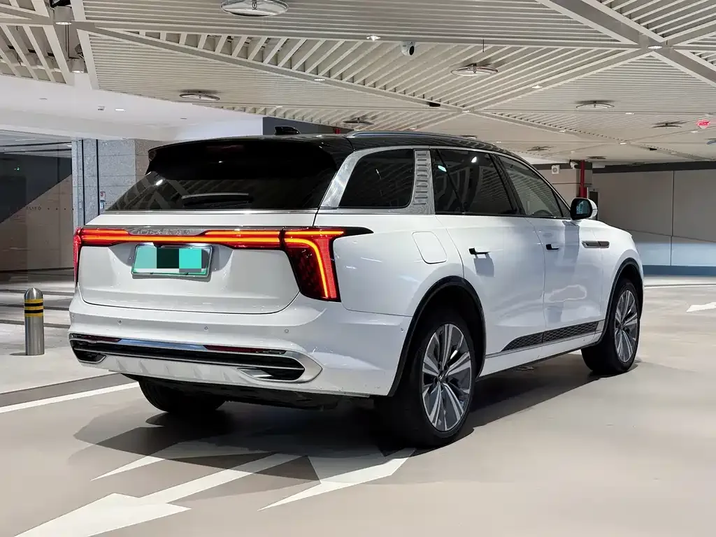 Hongqi E-HS9 2021 из CN, фото 6