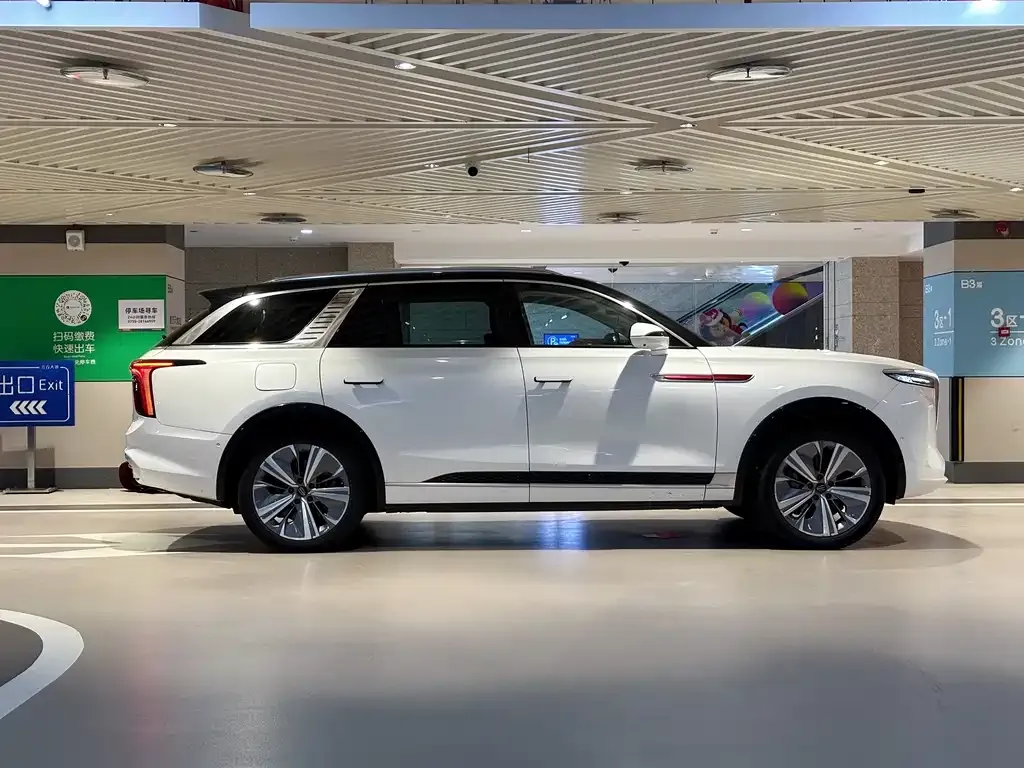 Hongqi E-HS9 2021 из CN, фото 7