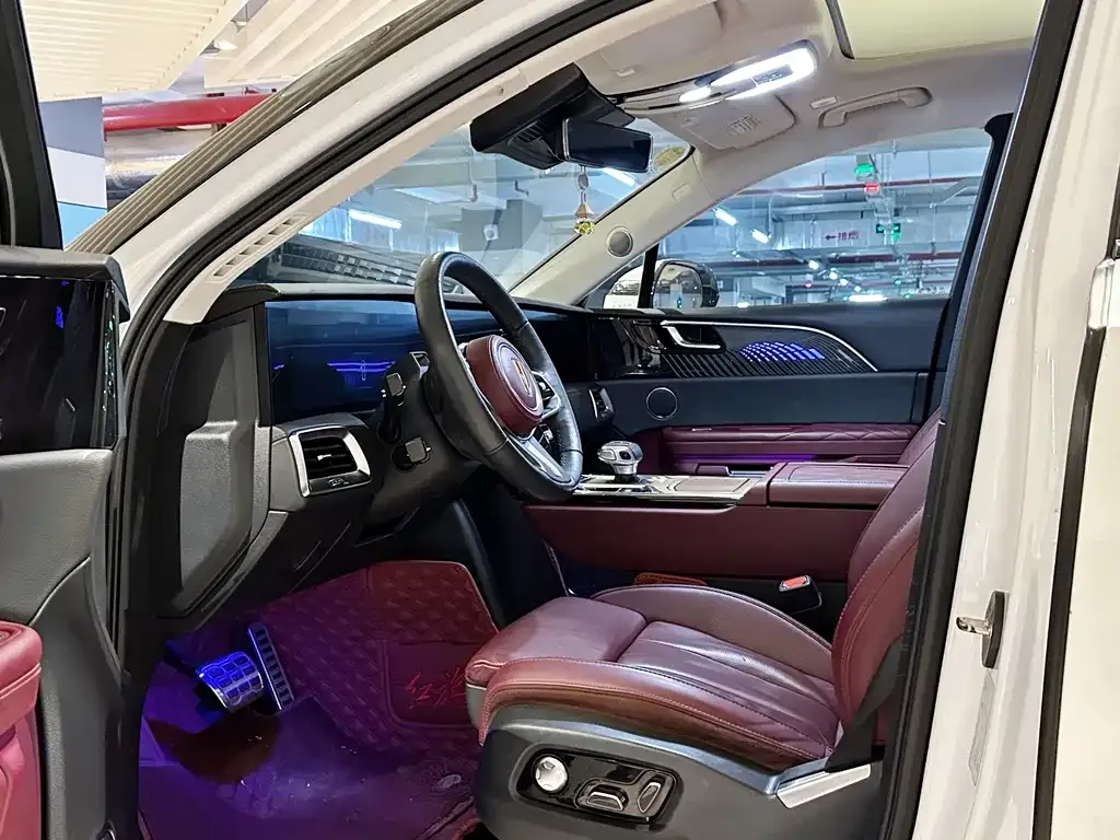 Hongqi E-HS9 2021 из CN, фото 8