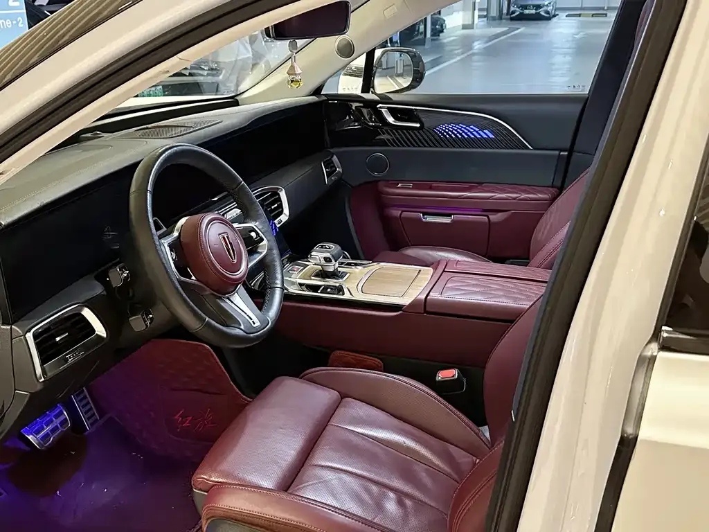 Hongqi E-HS9 2021 из CN, фото 9