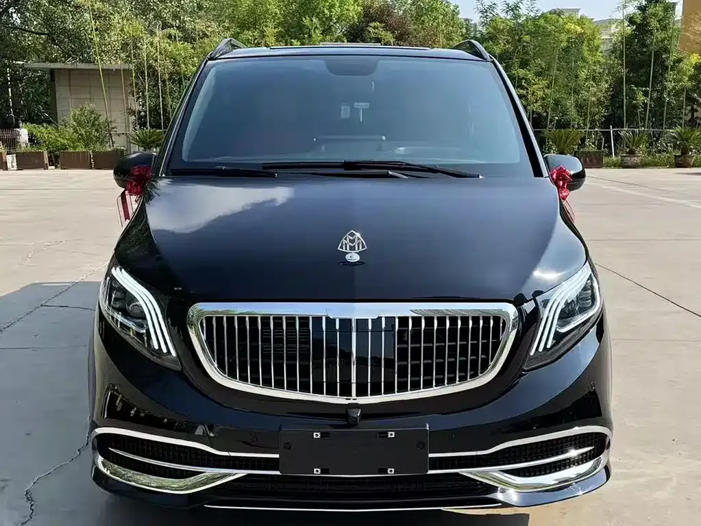 Mercedes-Benz Vito 2024 из CN, фото 2