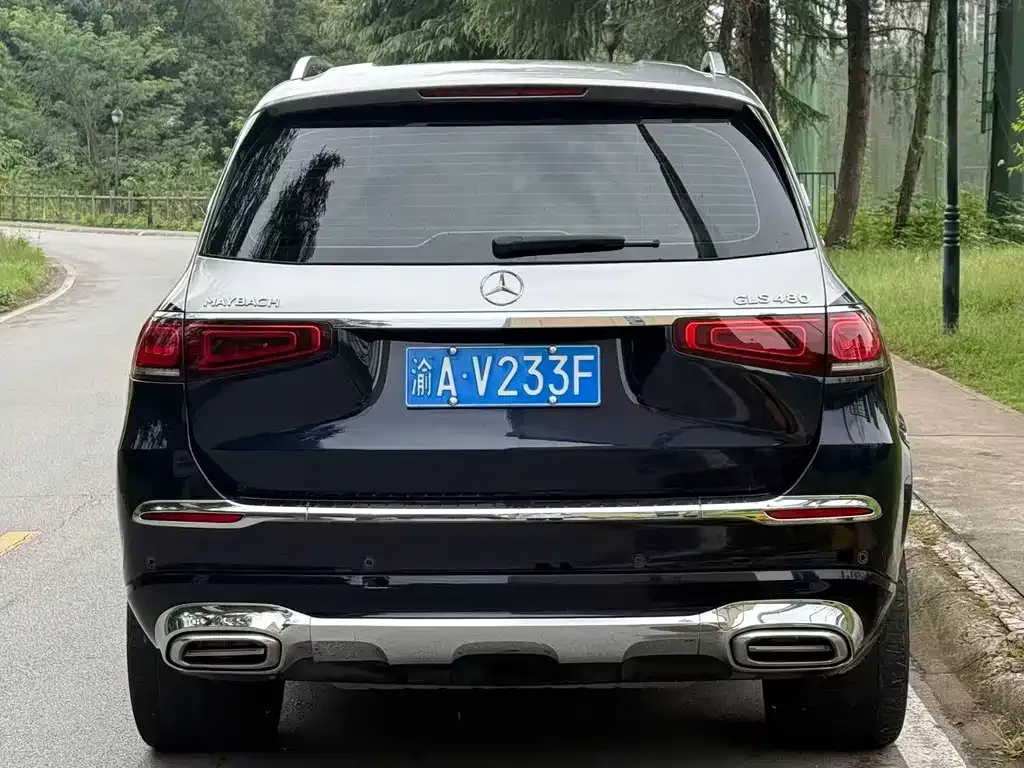 Mercedes-Benz GLS 2023 из CN, фото 4