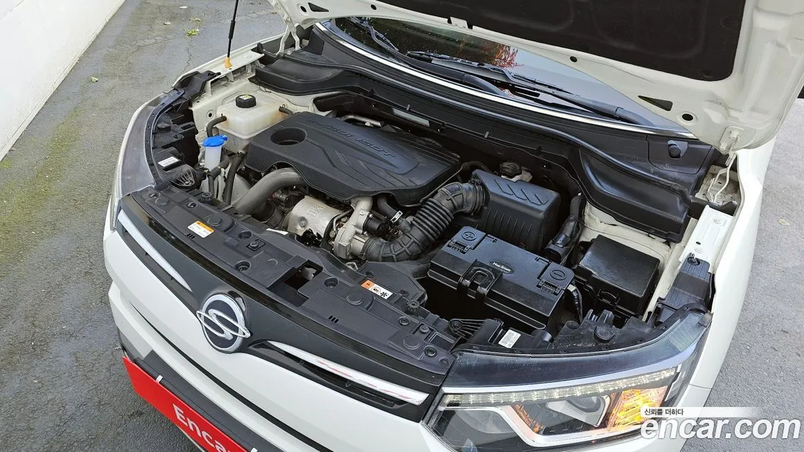 [object Object] TIBOLI 2023 из KR, фото 6